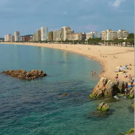 Beachfront Bellavista